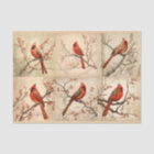 Une série cardinale rouge Design 2