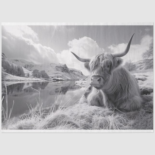 Papier Mousseline Vache de haute-terre couchée noir et blanc Découpa (Recto)