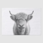 Vache des Highlands Adorable 