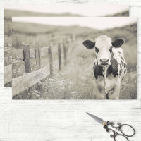 Vache laitière de style vintage dans un dédécoupag