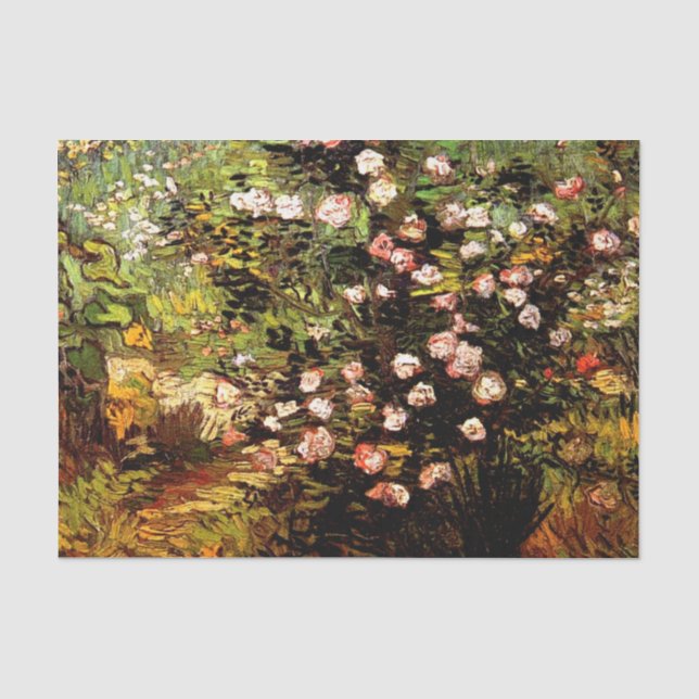 Papier Mousseline Van Gogh - Rose florissant Bush (Recto)