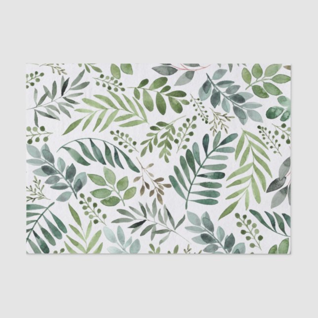 Papier Mousseline Verdure botanique Feuille Aquarelle  (Recto)