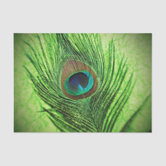 Papier Mousseline Vert de chaux de paon (Recto)