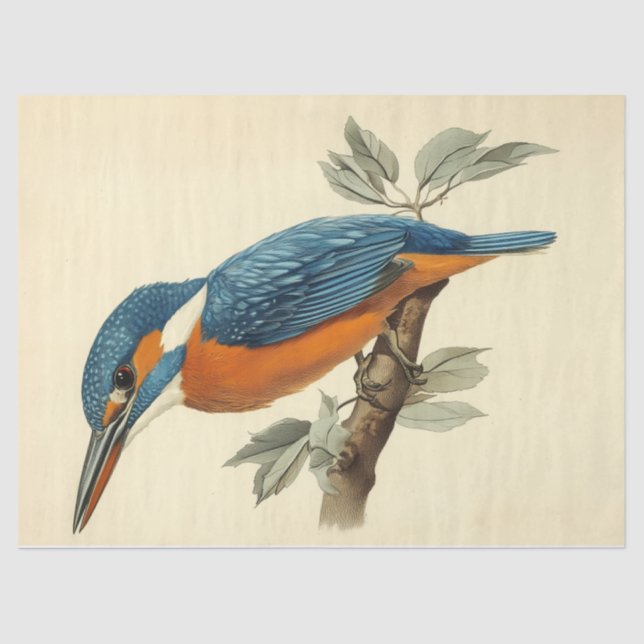 Papier Mousseline Vibrant Kingfisher aquarelle Découpage Oiseau Impr (Recto)