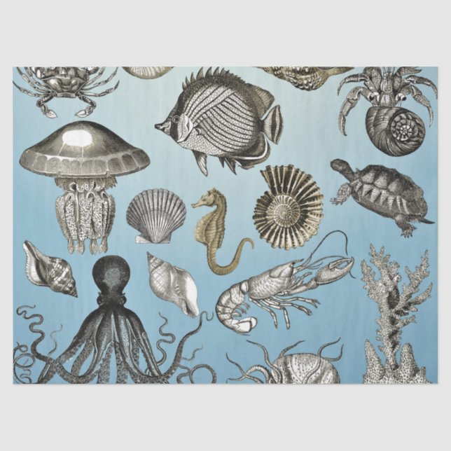 Papier Mousseline Vie maritime (Recto)