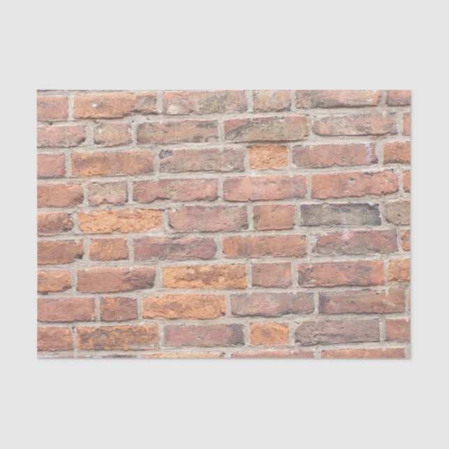 Papier Mousseline Vieux mur de briques (Recto)