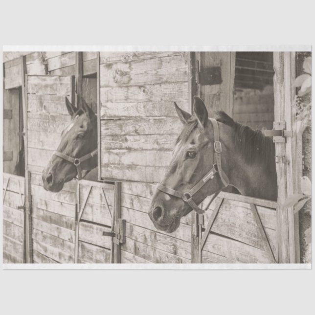 Papier Mousseline vieux papier de tissu de chevaux stables (Recto)