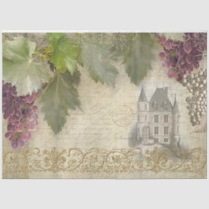 Papier Mousseline Vignoble Château Français Graphe Script Ephemera