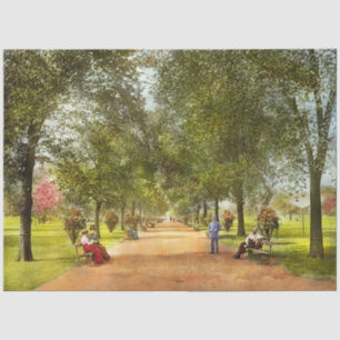 Papier Mousseline Ville - Chicago IL - Une promenade dans Lincoln Pa