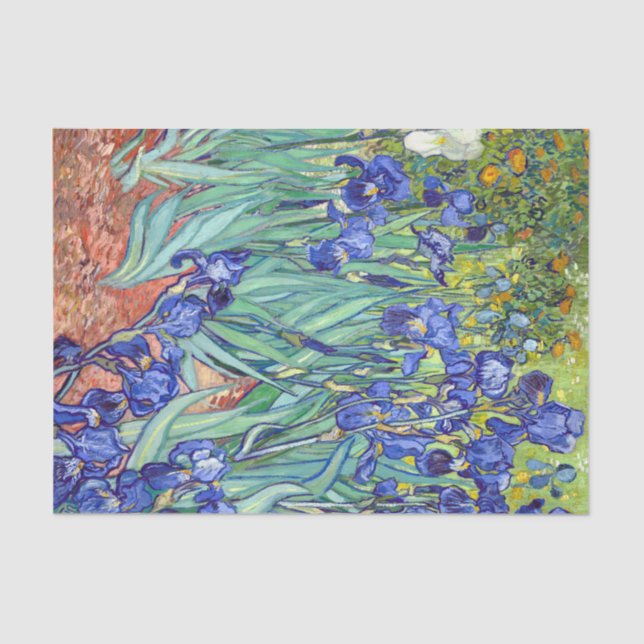 Papier Mousseline Vincent Van Gogh 1898 Irises (Recto)