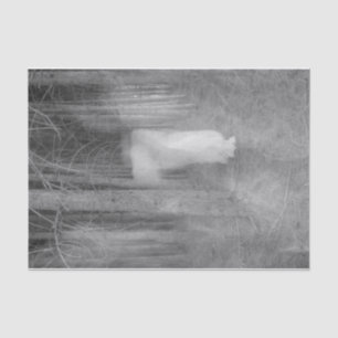 Papier Mousseline Vintage Angel Marche Noir Et Blanc En Forêt