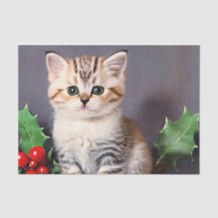 Papier Mousseline Vintage Christmas Kitten et Holly