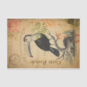 Papier Mousseline Vintage Exotique Tropical Toucan Bird Floral Franç