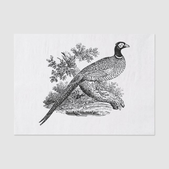 Papier Mousseline Vintage faisan Jeu Oiseau Dessin BW (Recto)
