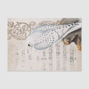 Papier Mousseline Vintage Falcon Bird Musique Scroll Vines Parchemin