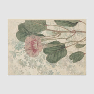 Papier Mousseline Vintage Floral Botanique