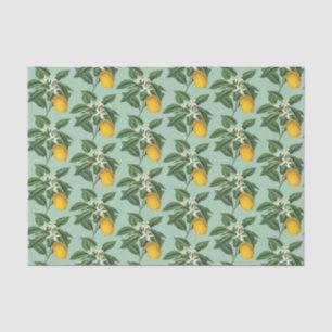 Papier Mousseline Vintage Fruit de citron Fleur de fleurs Sage vert