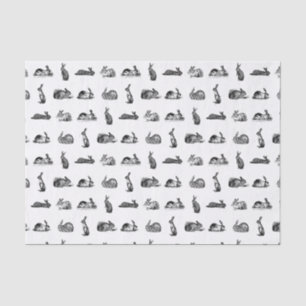 Papier Mousseline Vintage Lapin Bunnies Art PERSONNALISÉ COULEUR ARR