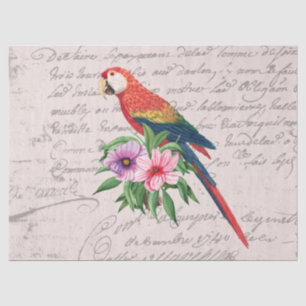 Papier Mousseline Vintage Parrot Ara Canga Floral Ephemera Découpage