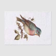 Vintage Pastel Bird Art pour découpage