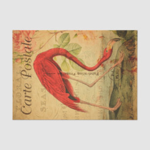 Papier Mousseline Vintage rose flamingo Floral Carte française Posta