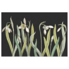 Vintage Snowdrop Fleur Black Spring