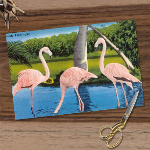 Papier Mousseline Vintage Trois Flamants roses de Floride