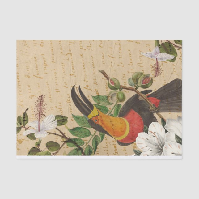 Papier Mousseline Vintage Tropical Toucan (Recto)