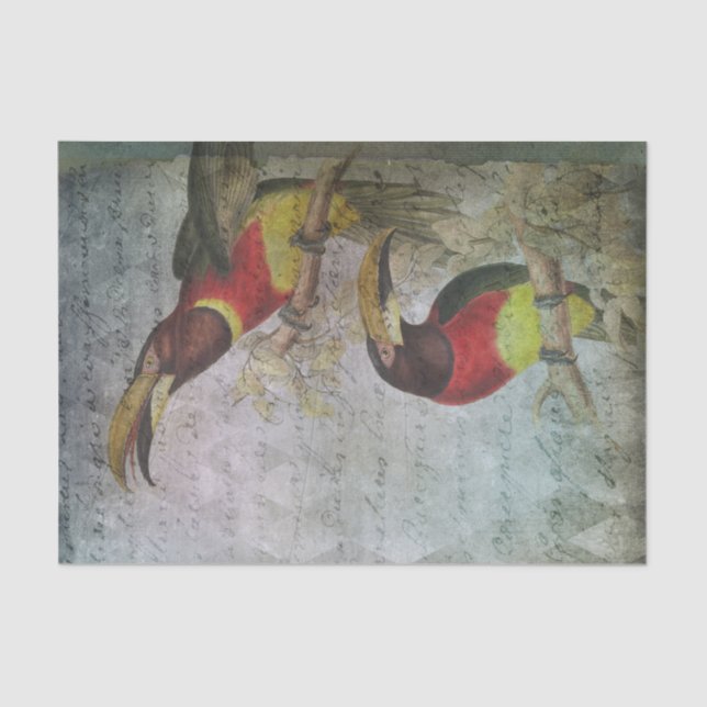 Papier Mousseline Vintage Tropical Toucan (Recto)