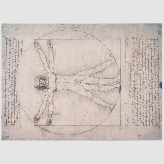 Papier Mousseline Vitruvian Man Vitruvian Man, Leonardo da Vinci (Recto)