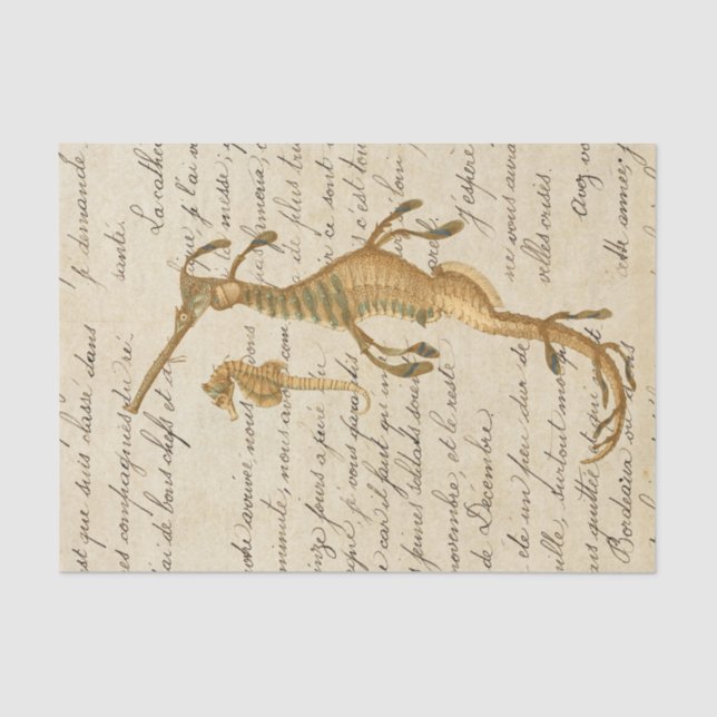 Papier Mousseline Voie maritime vintage (Recto)