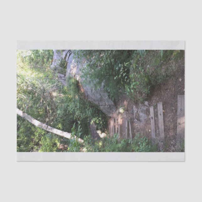 Papier Mousseline Voie par des arbres (Recto)