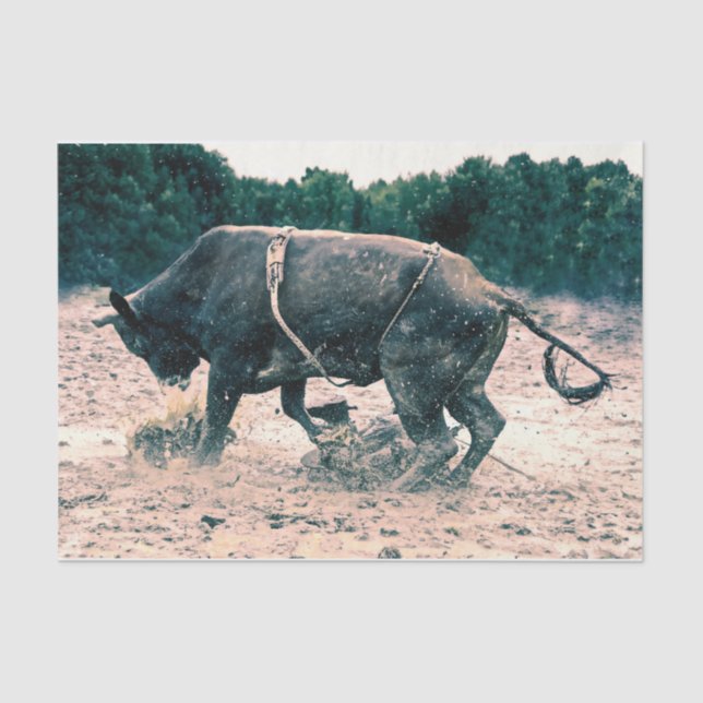 Papier Mousseline Western Rodeo Black Bull Country Cowboy Russe (Recto)