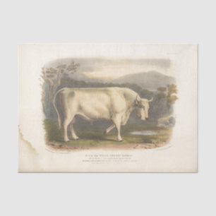 Papier Mousseline  White Bull Cow Ephemera Decoupage Ferme Vintage 