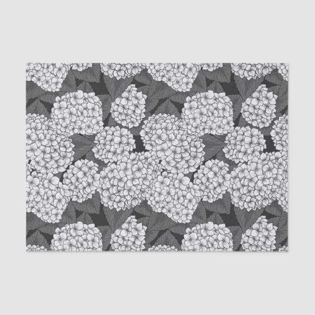 Papier Mousseline White hydrangea (Recto)
