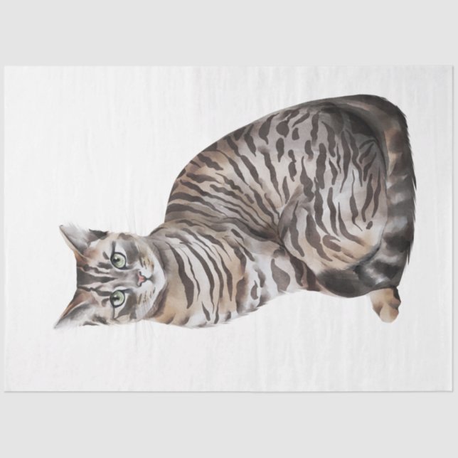 Papier Mousseline Wild Cats Series Design 6 (Recto)