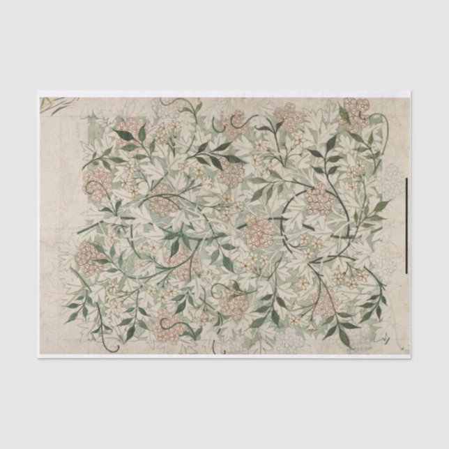 Papier Mousseline William Morris Jasmine (Recto)