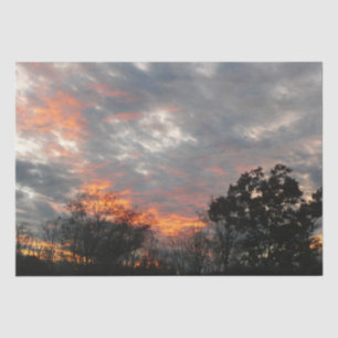 Papier Mousseline Winter Sunset Nature Paysage Photographie