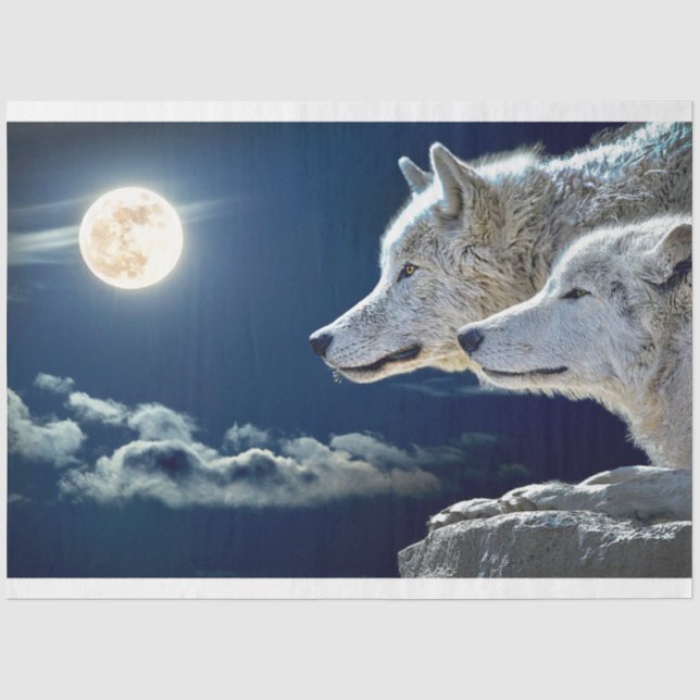 Papier Mousseline Wolves Midnight Moon (Recto)