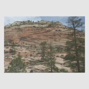 Papier Mousseline Worn Rock Walls dans le Parc national de Sion