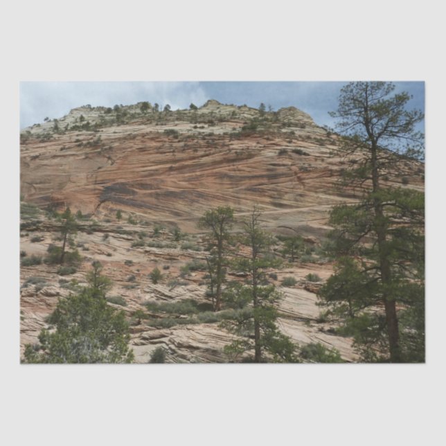 Papier Mousseline Worn Rock Walls dans le Parc national de Sion (Recto)