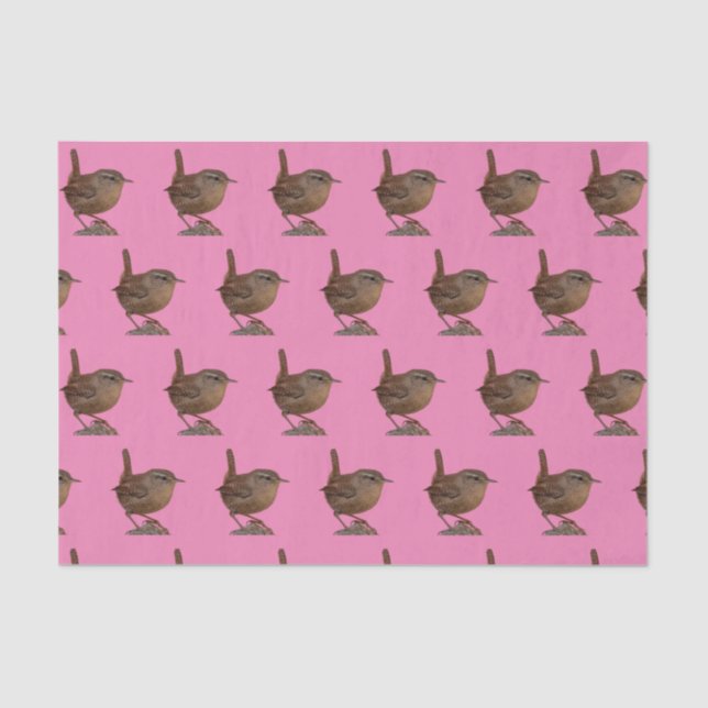 Papier Mousseline Wren (Recto)