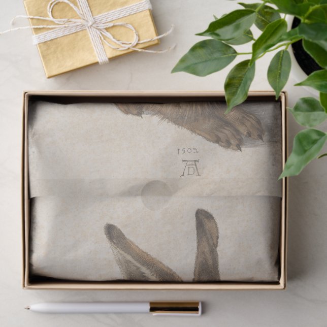 Papier Mousseline Young Hare by Albrecht Durer, Renaissance Fine Art (Cadeau)