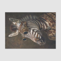 Zebra Extravaganza14