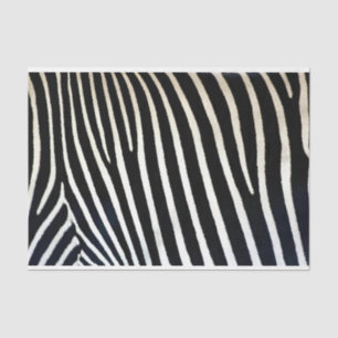 Papier Mousseline Zebra Print Black Fur