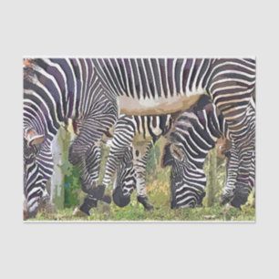 PAPIER MOUSSELINE ZEBRAS