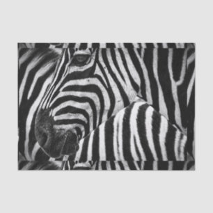 Papier Mousseline Zèbre noir et blanc génial