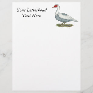 Papier Muscovy Blue pied Duck