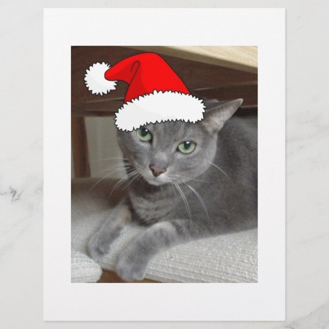 Papier Noël du chat bleu russe (Devant)