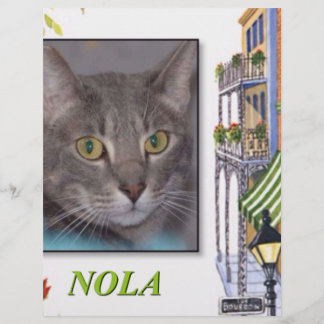 PAPIER NOLA